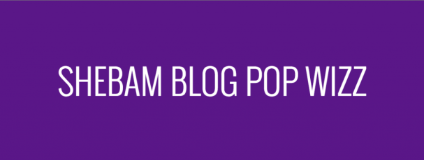 Orouni - Grand Tour - <a href="http://www.shebamblogpopwizz.com/blog/2014/03/orouni-cache-cache-musical">Shebam Blog Pop Wizz</a>