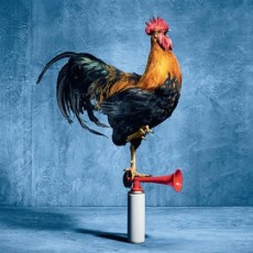 Orouni - <a href="https://soundcloud.com/julien-nait-bouda/french-mix-v">Julien Naït-Bouda</a>