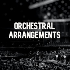 Orouni - <a href="https://open.spotify.com/playlist/2FRvWfHtlVuhTZSKJINS6J">Music dances when you sleep - Orchestral arrangements</a>