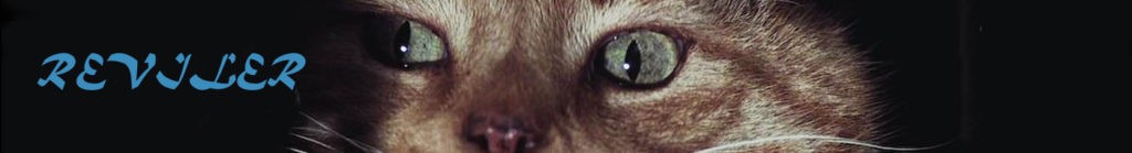 Orouni - <a href="https://www.reviler.org/2021/03/11/the-fresh-five-goat-girl-altin-gun-arlo-parks-orouni-le-coleur/">Reviler</a>